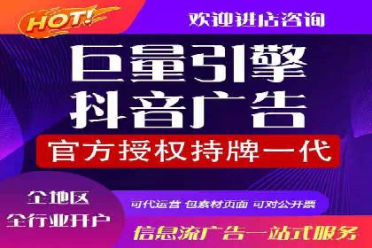SEM服务在本地化营销中的应用案例