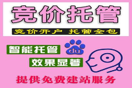 案例剖析：高价关键词推广的效益